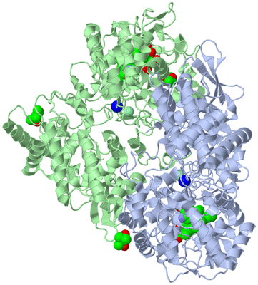 Image Asym./Biol. Unit