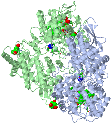 Image Asym./Biol. Unit - sites