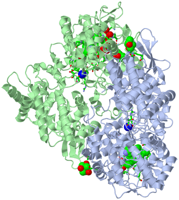 Image Asym./Biol. Unit - sites