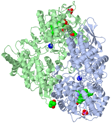 Image Asym./Biol. Unit