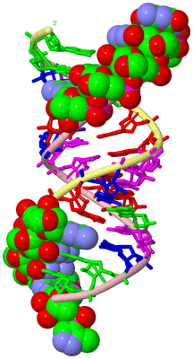 Image Biological Unit 2