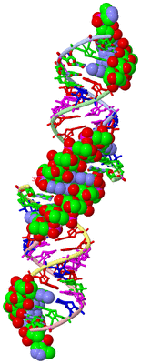 Image Asym. Unit - sites