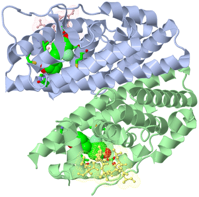 Image Asym./Biol. Unit - sites