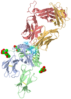 Image Biological Unit 1