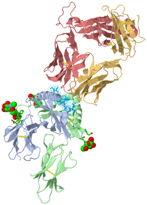 Image Biol. Unit 1 - sites