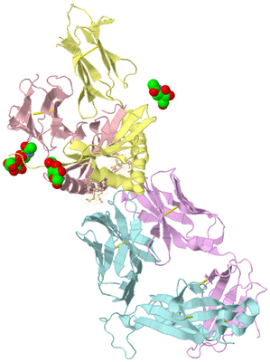 Image Biological Unit 2