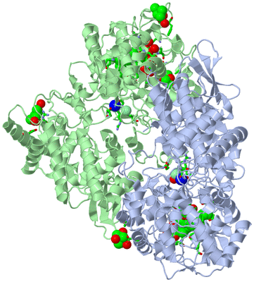 Image Asym./Biol. Unit - sites