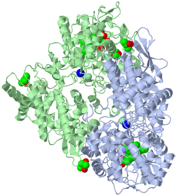 Image Asym./Biol. Unit