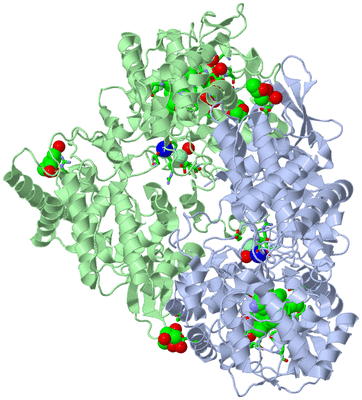 Image Asym./Biol. Unit - sites