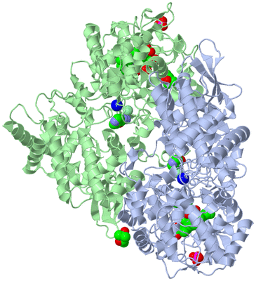 Image Asym./Biol. Unit