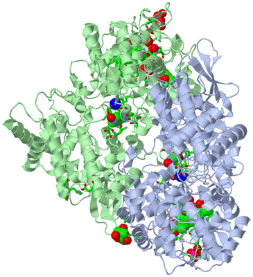 Image Asym./Biol. Unit - sites