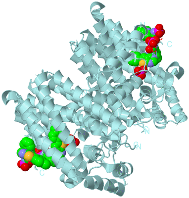 Image Biological Unit 1