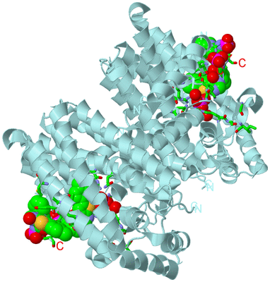 Image Biol. Unit 1 - sites