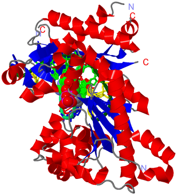 Image Asym./Biol. Unit