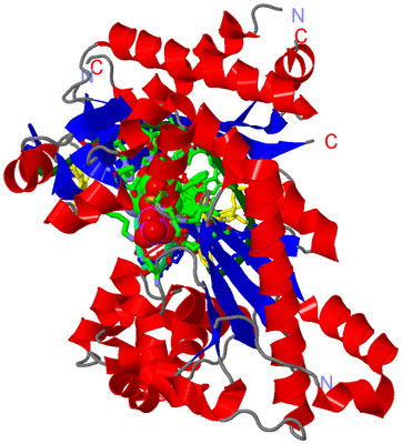 Image Asym./Biol. Unit - sites