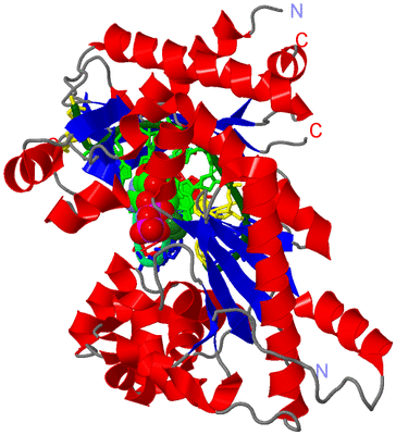 Image Asym./Biol. Unit