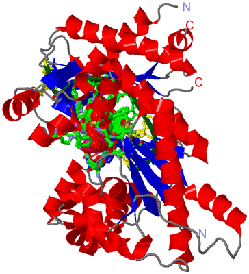 Image Asym./Biol. Unit - sites