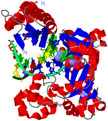 Image Asym./Biol. Unit