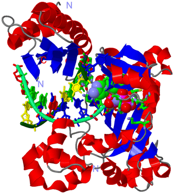 Image Asym./Biol. Unit - sites