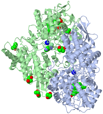 Image Asym./Biol. Unit