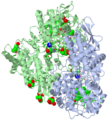 Image Asym./Biol. Unit - sites