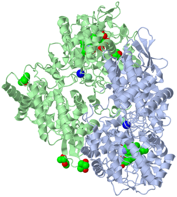 Image Asym./Biol. Unit