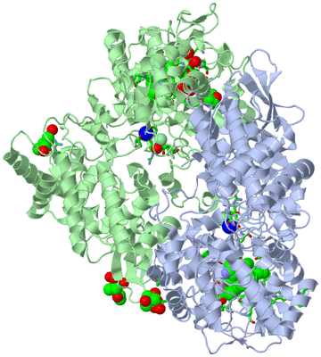 Image Asym./Biol. Unit - sites