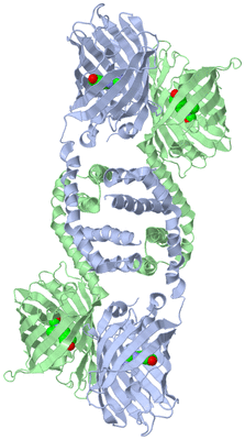 Image Biological Unit 1