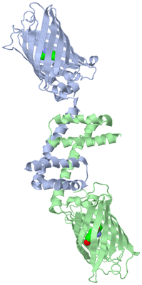 Image Biological Unit 2