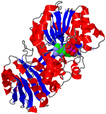 Image Asym./Biol. Unit