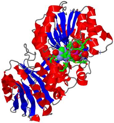 Image Asym./Biol. Unit - sites