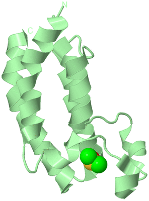 Image Biological Unit 2