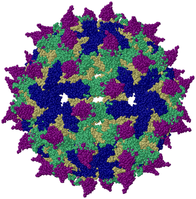 Image Biological Unit 1