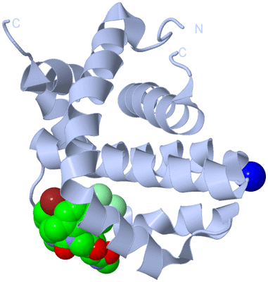 Image Biological Unit 1