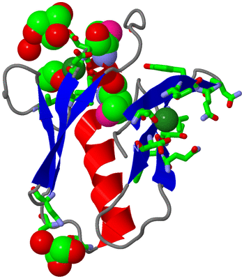 Image Asym./Biol. Unit - sites