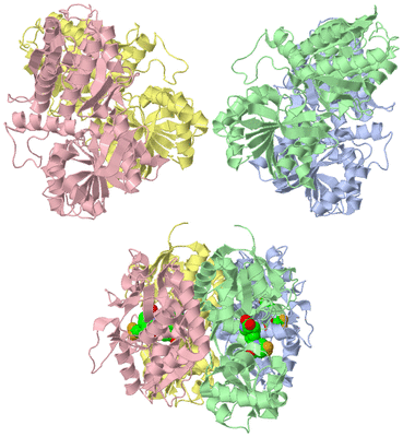 Image Asym./Biol. Unit