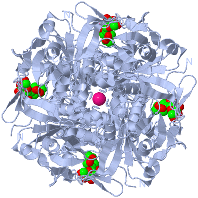 Image Biological Unit 1