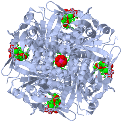 Image Biol. Unit 1 - sites