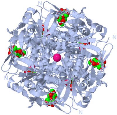 Image Biological Unit 1