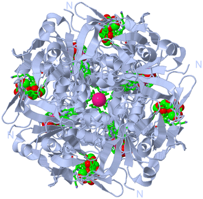 Image Biol. Unit 1 - sites