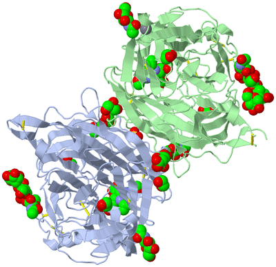 Image Asym./Biol. Unit