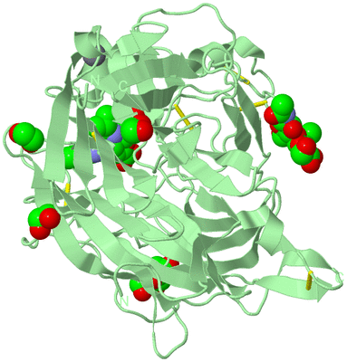 Image Biological Unit 1