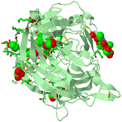 Image Biol. Unit 1 - sites