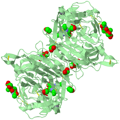 Image Biological Unit 2