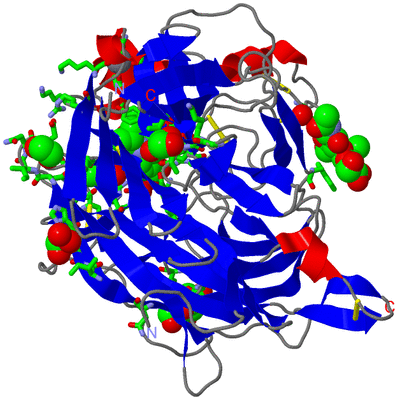 Image Asym. Unit - sites