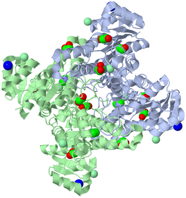 Image Biological Unit 1