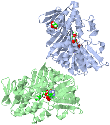 Image Asym./Biol. Unit