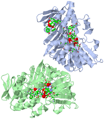 Image Asym./Biol. Unit - sites