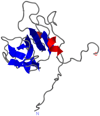 Image NMR Structure - model 1