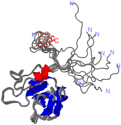 Image NMR Structure - all models